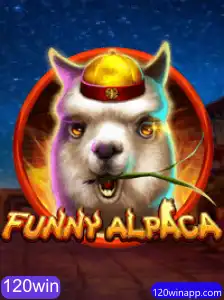 Descubra o Excitante Mundo de FunnyAlpaca