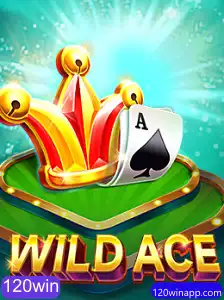 Explorando o Mundo de WildAce: Regras e Estratégias do Jogo 120win